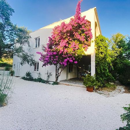 Olive Garden Apartments Poljica  Εξωτερικό φωτογραφία