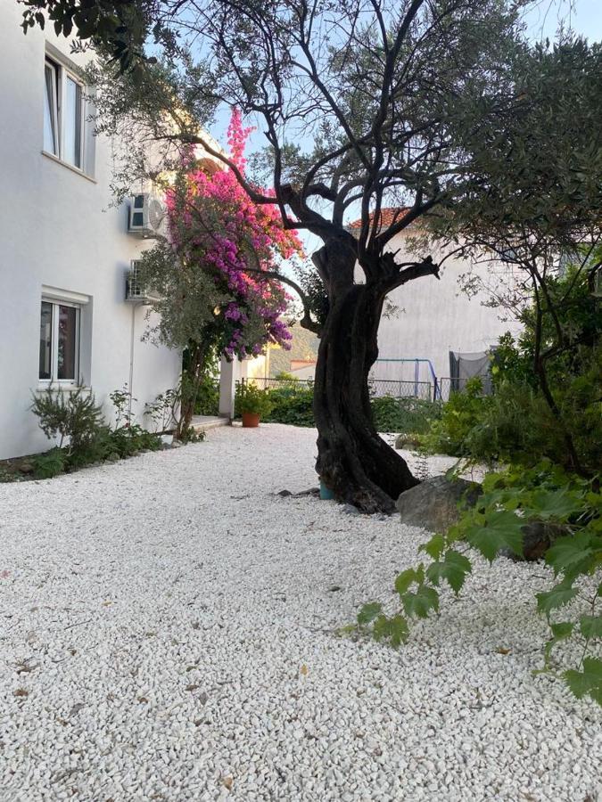 Olive Garden Apartments Poljica  Εξωτερικό φωτογραφία