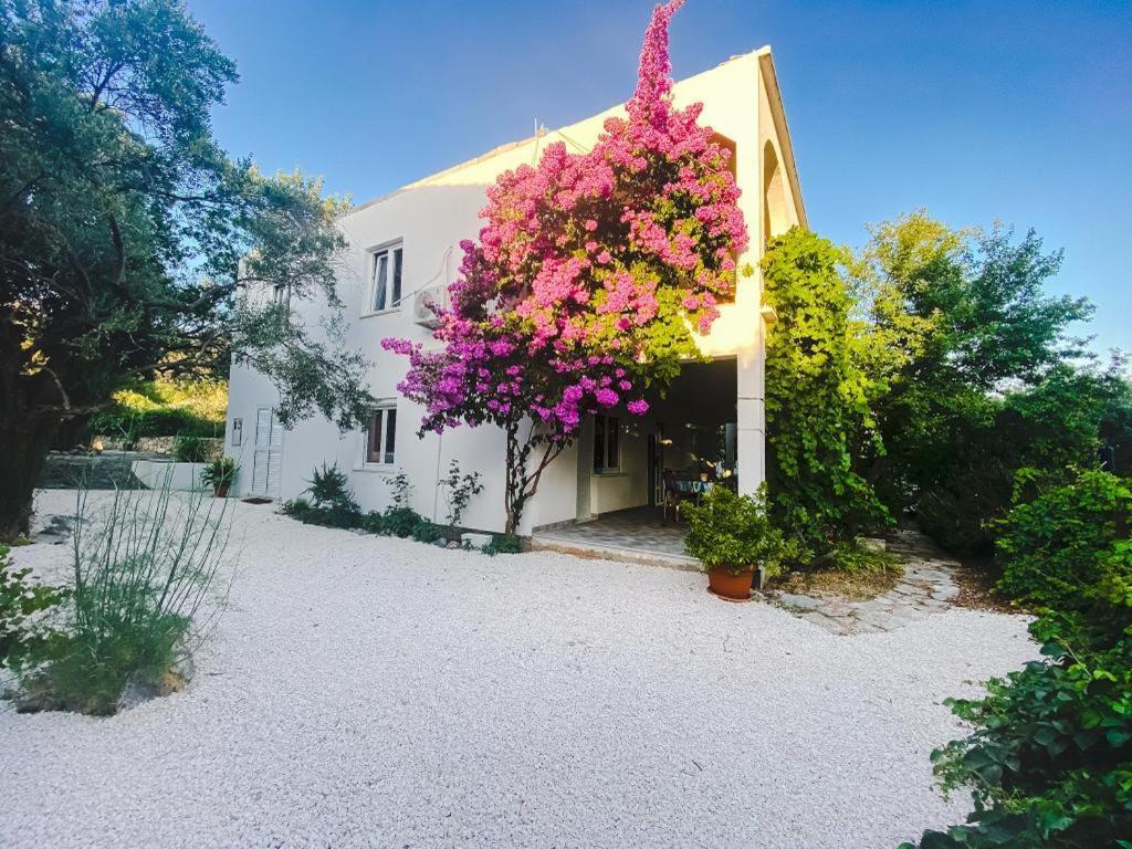 Olive Garden Apartments Poljica  Εξωτερικό φωτογραφία